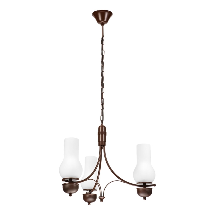 Brilagi - Hanglamp aan een ketting COTTAGE 3xE14/40W/230V eiken/wit