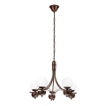 Brilagi - Hanglamp aan een ketting COTTAGE 5xG9/40W/230V eiken/wit