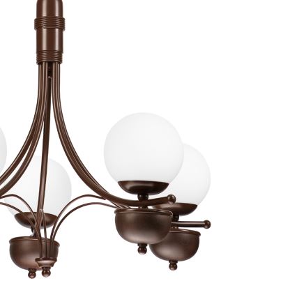 Brilagi - Hanglamp aan een ketting COTTAGE 5xG9/40W/230V eiken/wit