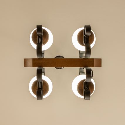 Brilagi - Hanglamp aan een ketting QUEEN 4xE14/40W/230V beuken/walnoot