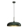 Brilagi - Hanglamp aan een koord ABRAHAM 1xE27/60W/230V diameter 45 cm groen