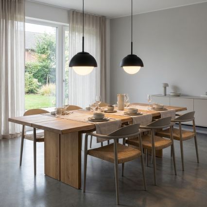 BRILAGI - Hanglamp aan kabel COSMO 1xE27/60W/230V Ø 18 cm zwart