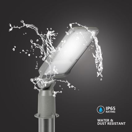 Brilagi - Lampadaire de rue LED extérieur avec mât articulé 3 m URBANLIGHT LED/50W/230V gris IP65