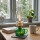 Brilagi - Lampe à pétrole MERLIN verte