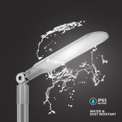 Brilagi - lampe de rue LED extérieure URBANLIGHT LED/250W/230V grise IP65