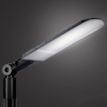 Brilagi - Lampe de rue LED URBANLIGHT LED/250W/230V noire IP65