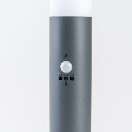 BRILAGI - Lampe d'extérieur avec détecteur de mouvement ELIA 1xE27/20W/230V IP44 100 cm anthracite