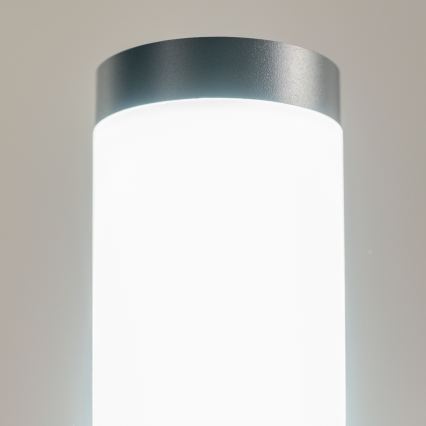 BRILAGI - Lampe d'extérieur ELIA 1xE27/20W/230V IP44 50 cm anthracite