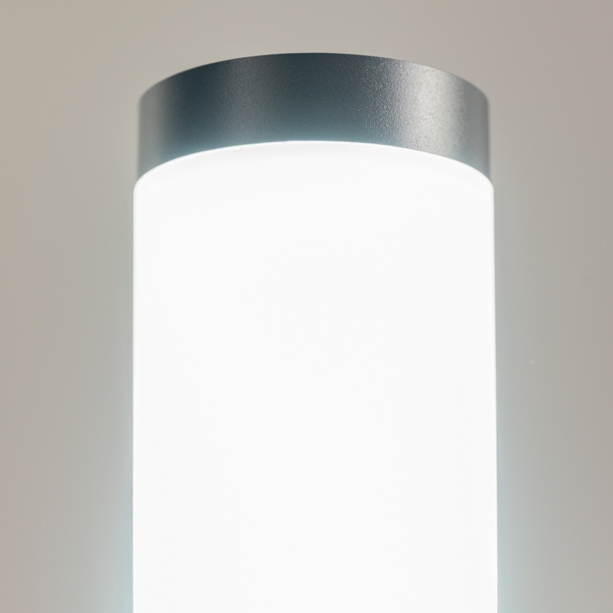 BRILAGI - Lampe d'extérieur ELIA 1xE27/20W/230V IP44 50 cm anthracite