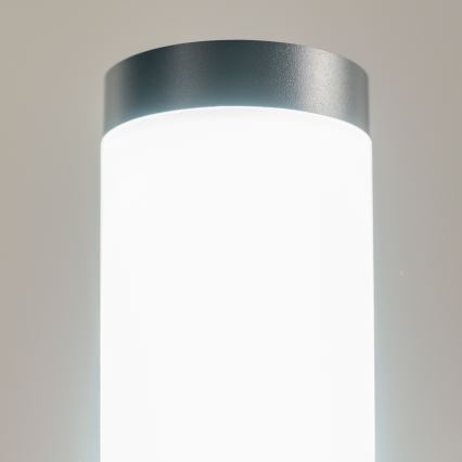 BRILAGI - Lampe d'extérieur LED avec prise ELIA 1xE27/7W/230V 4000K IP44 50 cm anthracite