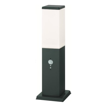 Brilagi - Lampe extérieure avec détecteur de mouvement 1xE27/15W/230V 40 cm IP44 anthracite
