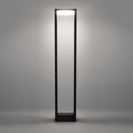 Brilagi - Lampe extérieure RAGUSA LED/7W/230V 3000/4000/6000K anthracite IP54 80 cm