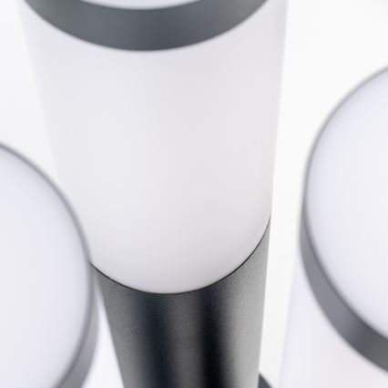 BRILAGI - Lampe extérieure LED dimmable ELIA 1xE27/6W/230V 2700-6500K IP44 Wi-Fi 100 cm anthracite
