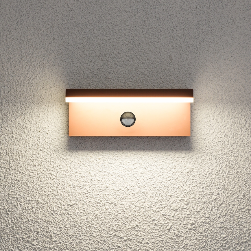 Brilagi - Applique murale d'extérieur LED avec détecteur TESSI LED/10W/230V marron IP54