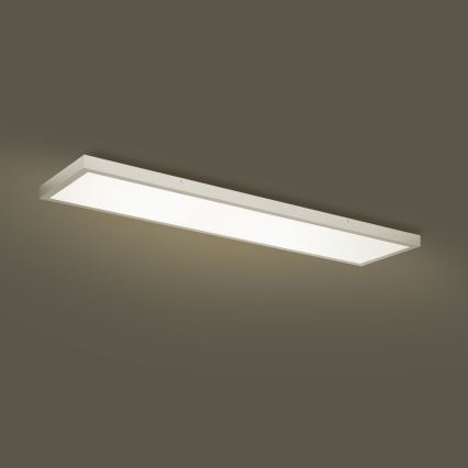 Brilagi - FRAME LED plafondlamp voor badkamer 50W/230V 3000/4000/6000K 120x30 cm IP44 zilverkleurig
