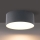 Brilagi - LED-badkamerplafondlamp FORIS LED/20W/230V Ø 15 cm antraciet IP44