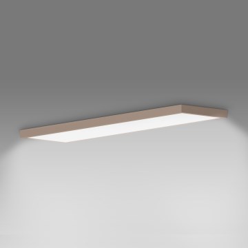 Brilagi - LED badkamerplafondlamp FRAME LED/50W/230V 120x30 cm IP44 beige
