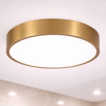 Brilagi - LED badkamerplafondlamp POOL LED/36W/230V 3000/4000/5500K Ø 40 cm IP54 brons