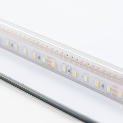 Brilagi - LED badkamerspiegel COMO LED/24W/230V 60x60 cm IP44 CRI 90 dimbaar + CCT