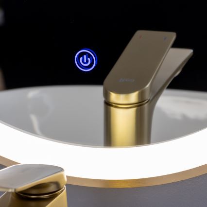 Brilagi - LED badkamerspiegel ERBA LED/25W/230V 50x80 cm goudkleurig IP44 CRI 90 dimbaar + CCT