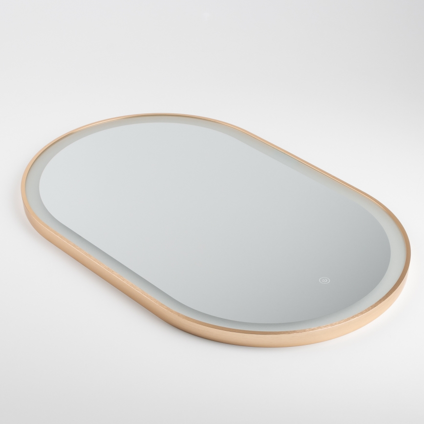 Brilagi - LED badkamerspiegel ERBA LED/25W/230V 50x80 cm goudkleurig IP44 CRI 90 dimbaar + CCT
