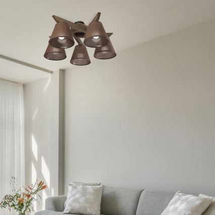 Brilagi - LED  Bevestigde hanglamp ANTHONY 5xE14/40W/230V eiken/bruin