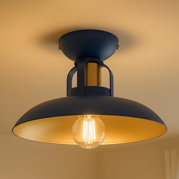 Brilagi - LED Bevestigde hanglamp FLAMENGO 1xE27/60W/230V blauw