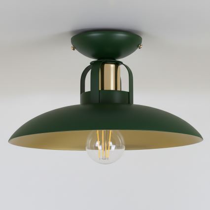 Brilagi - LED Bevestigde hanglamp FLAMENGO 1xE27/60W/230V groen
