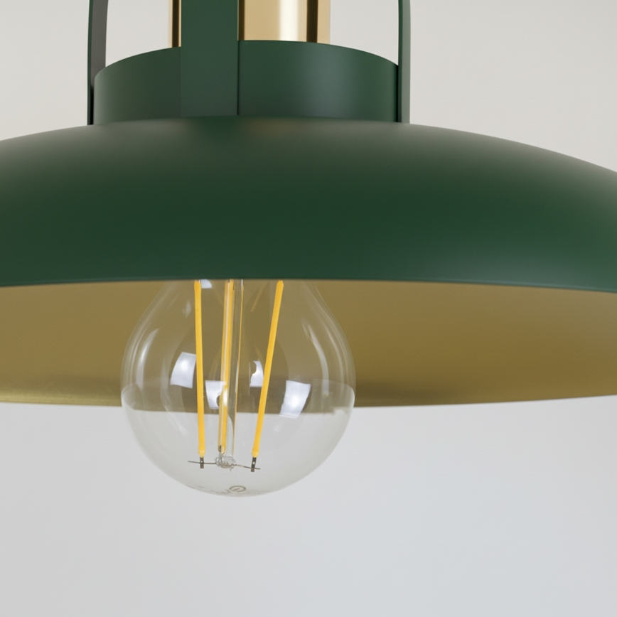 Brilagi - LED Bevestigde hanglamp FLAMENGO 1xE27/60W/230V groen