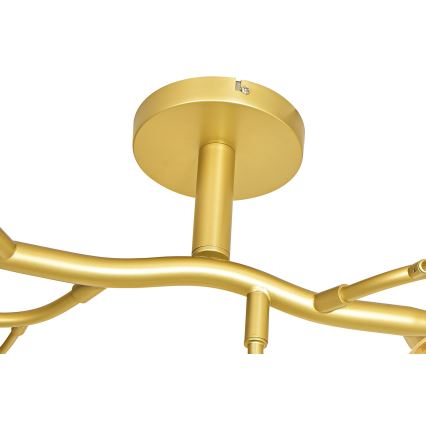 Brilagi - LED Bevestigde Hanglamp MISTEL 15xG9/3W/230V goud/wit