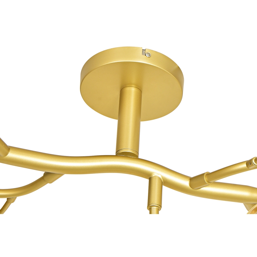 Brilagi - LED Bevestigde Hanglamp MISTEL 15xG9/3W/230V goud/wit