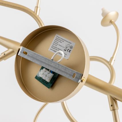 Brilagi - LED Bevestigde Hanglamp MISTEL 15xG9/3W/230V goud/wit