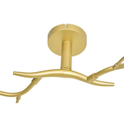 Brilagi - LED Bevestigde Hanglamp MISTEL 6xG9/3W/230V goud/wit