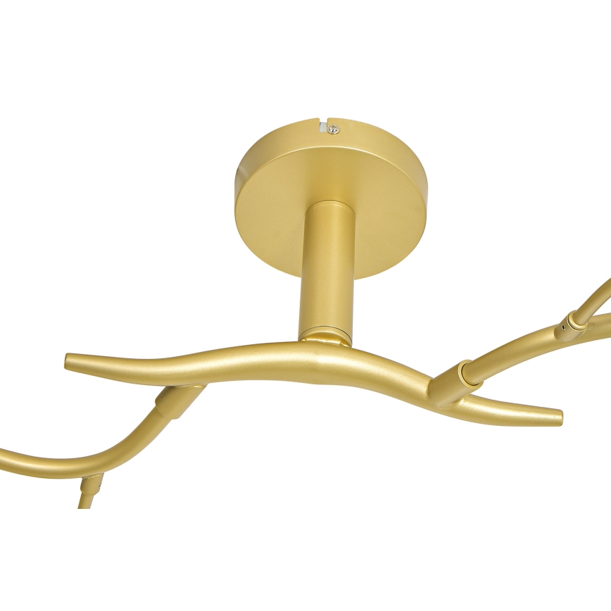 Brilagi - LED Bevestigde Hanglamp MISTEL 6xG9/3W/230V goud/wit