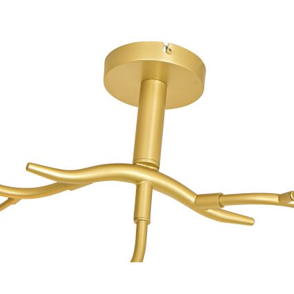 Brilagi - LED Bevestigde Hanglamp MISTEL 9xG9/3W/230V goud/wit