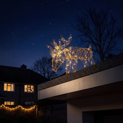 BRILAGI - LED Buiten kerstdecoratie LED/3,3W/230V IP44 56x43 cm rendier