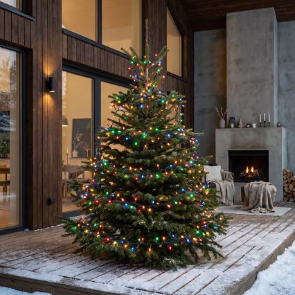 BRILAGI - LED buiten kerstverlichting 100xLED/8 functies 13 m IP44 multikleurig