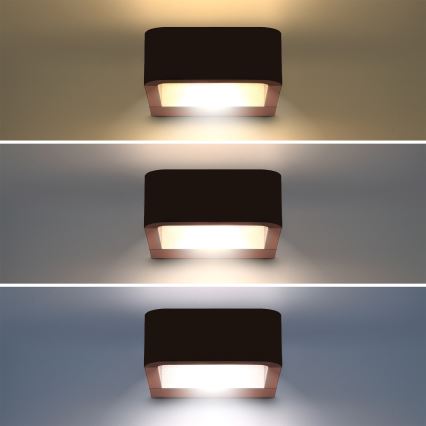 Brilagi - LED buitenwandlamp BARI LED/7W/230V 3000/4000/6000K bruin IP54
