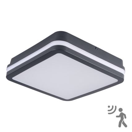 Brilagi - LED Buitenlamp met sensor BENE LED/18W/230V 22x22 cm antraciet IP54