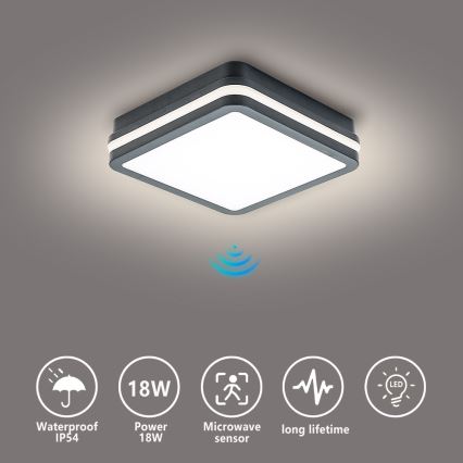 Brilagi - LED Buitenlamp met sensor BENE LED/18W/230V 22x22 cm antraciet IP54