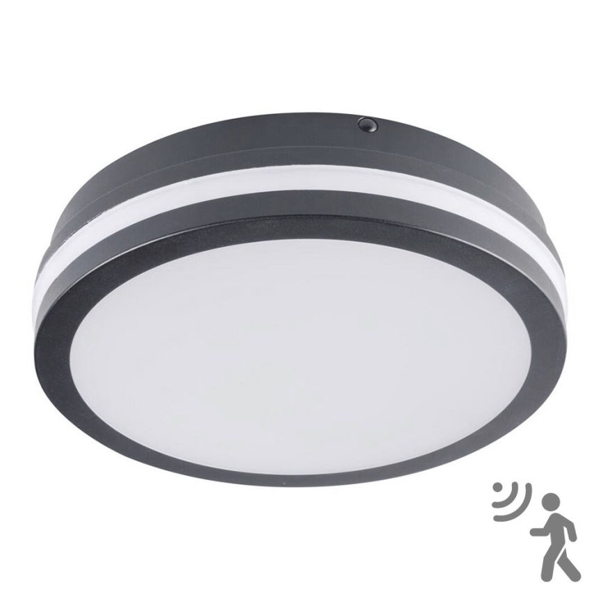 Brilagi - LED Buitenlamp met sensor BENE LED/18W/230V Ø 22 cm antraciet IP54