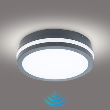 Brilagi - LED Buitenlamp met sensor BENE LED/18W/230V Ø 22 cm antraciet IP54