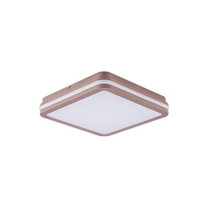 Brilagi - LED plafondlamp voor buiten met sensor BENE LED/24W/230V 26x26 cm bruin IP54