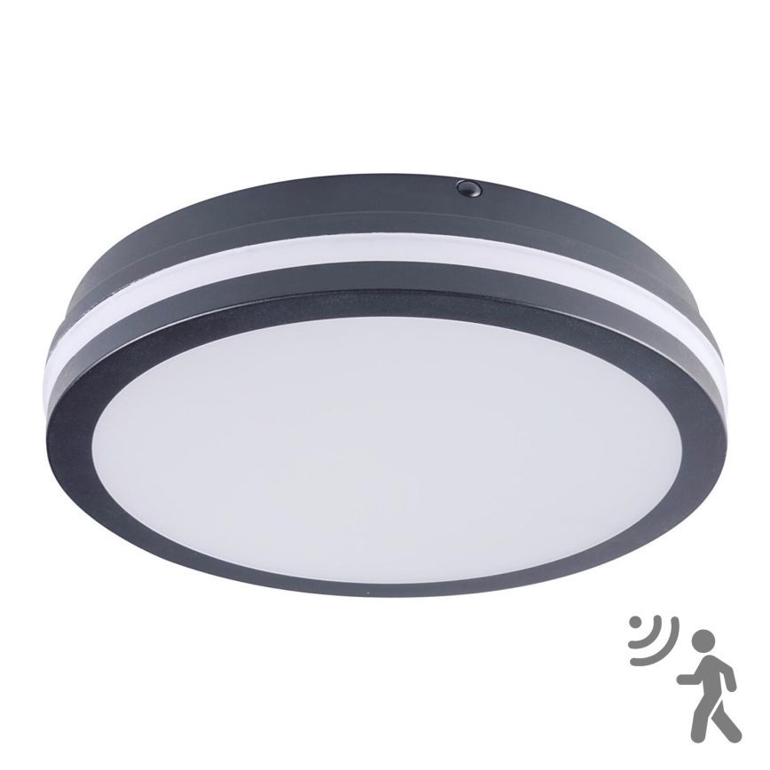Brilagi - LED Buitenlamp met sensor BENE LED/24W/230V Ø 26 cm antraciet IP54