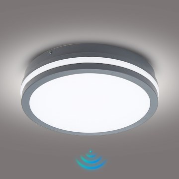 Brilagi - LED Buitenlamp met sensor BENE LED/24W/230V Ø 26 cm antraciet IP54
