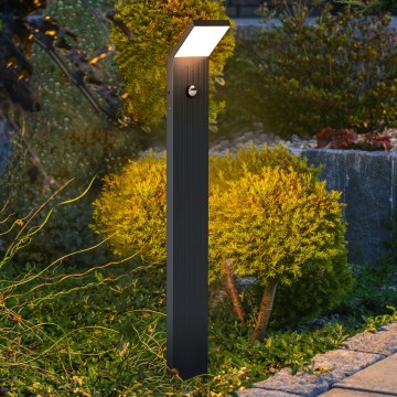 Brilagi - LED buitenlamp met sensor RIANO LED/8W/230V antraciet IP65