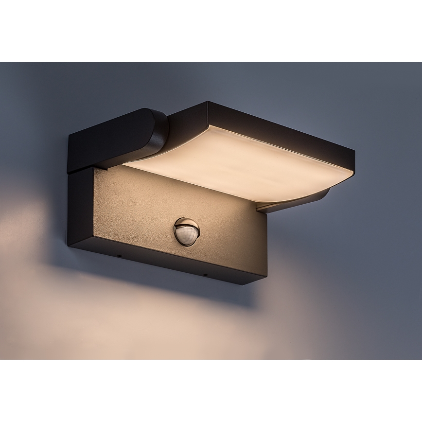 BRILAGI - LED buitenmuurlamp met bewegings- en schemersensor ANKLE LED/12W/230V IP65 zwart