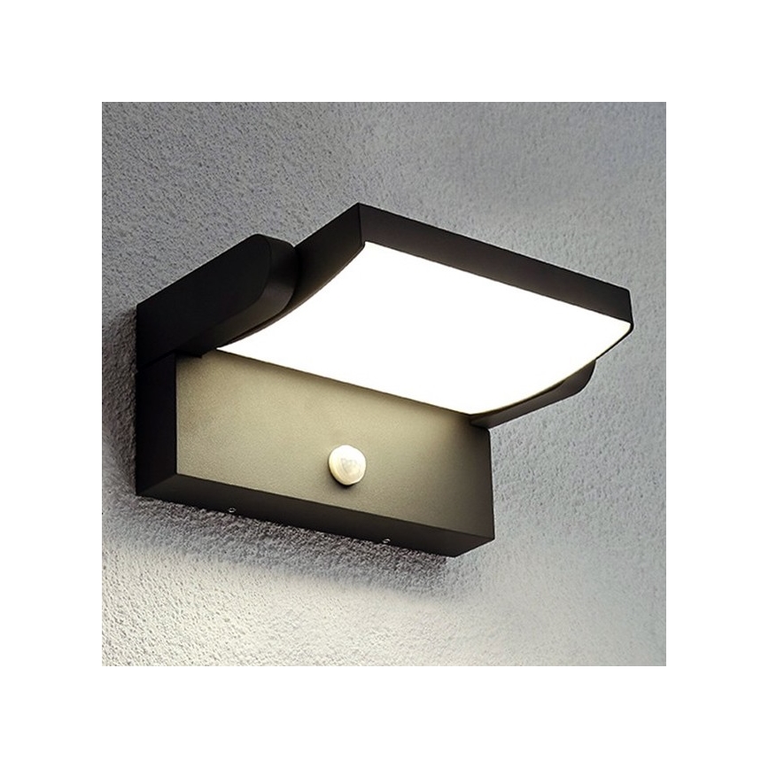 BRILAGI - LED buitenmuurlamp met bewegings- en schemersensor ANKLE LED/12W/230V IP65 zwart