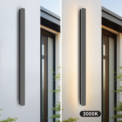 Brilagi - LED buitenwandarmatuur LINEAR LED/22W/230V 3000K IP65 100 cm antraciet