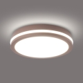 Brilagi - LED buitenplafondlamp BENE LED/24W/230V Ø 26 cm bruin IP54